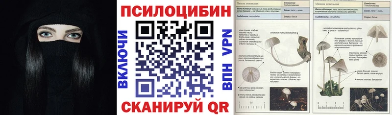 купить   гидра онион  Галлюциногенные грибы Psilocybe  Лесной 